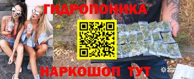 бошки Можга