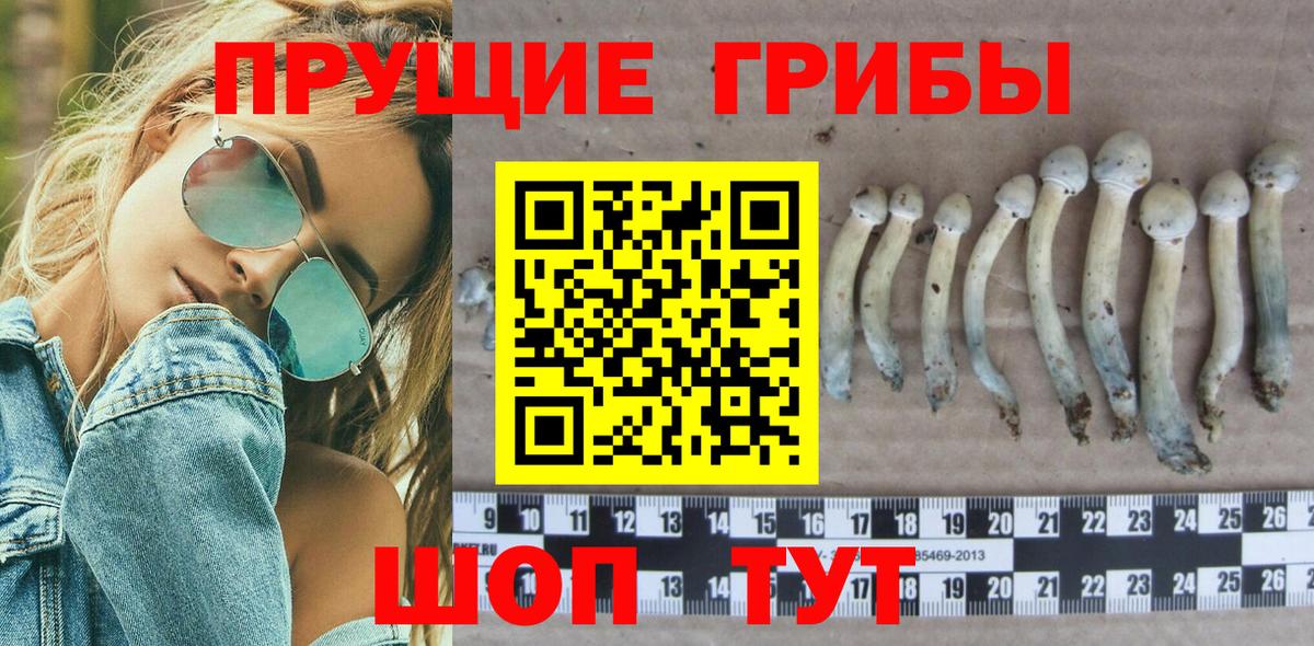 Псилоцибиновые грибы GOLDEN TEACHER Усть-Илимск