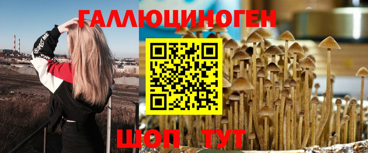 Усть-Илимск  Галлюциногенные грибы MAGIC MUSHROOMS  Псилоцибиновые грибы ЛСД  Вход с VPN 